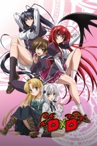 Высшая школа DxD